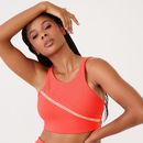 T1677_001_99-TOP-SUCCESS-FLOWER-CORAL